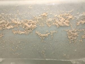 ジェットバスからの白い汚れの洗浄依頼・・・・・鎌倉市