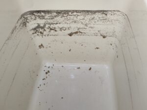 循環口から茶色い汚れが出てくる・・・バランス釜配管洗浄　　　杉並区