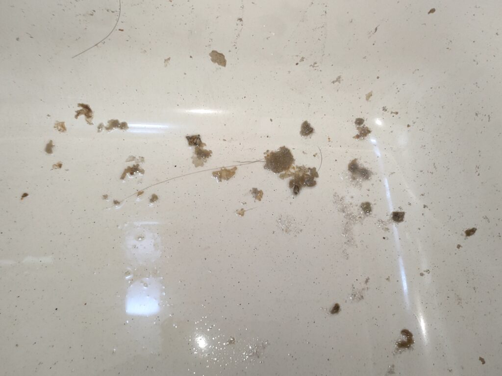 循環口から茶色い汚れが出てくる・・・バランス釜配管洗浄　　　杉並区