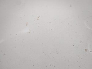 湯張りをするとホコリっぽい汚れ出てくる「追い焚き配管洗浄」・・・・・西東京市