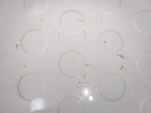 湯張りをするとホコリっぽい汚れ出てくる「追い焚き配管洗浄」・・・・・西東京市
