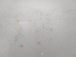 湯張りで汚れが出てくる　「追い焚き配管洗浄 ＋ ジェットバス配管洗浄」・・・・・西東京市