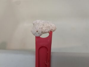 黒いカスのような汚れの改善依頼　ジェットバス配管洗浄 (TOTO㈱ブローバス)・・・・・渋谷区